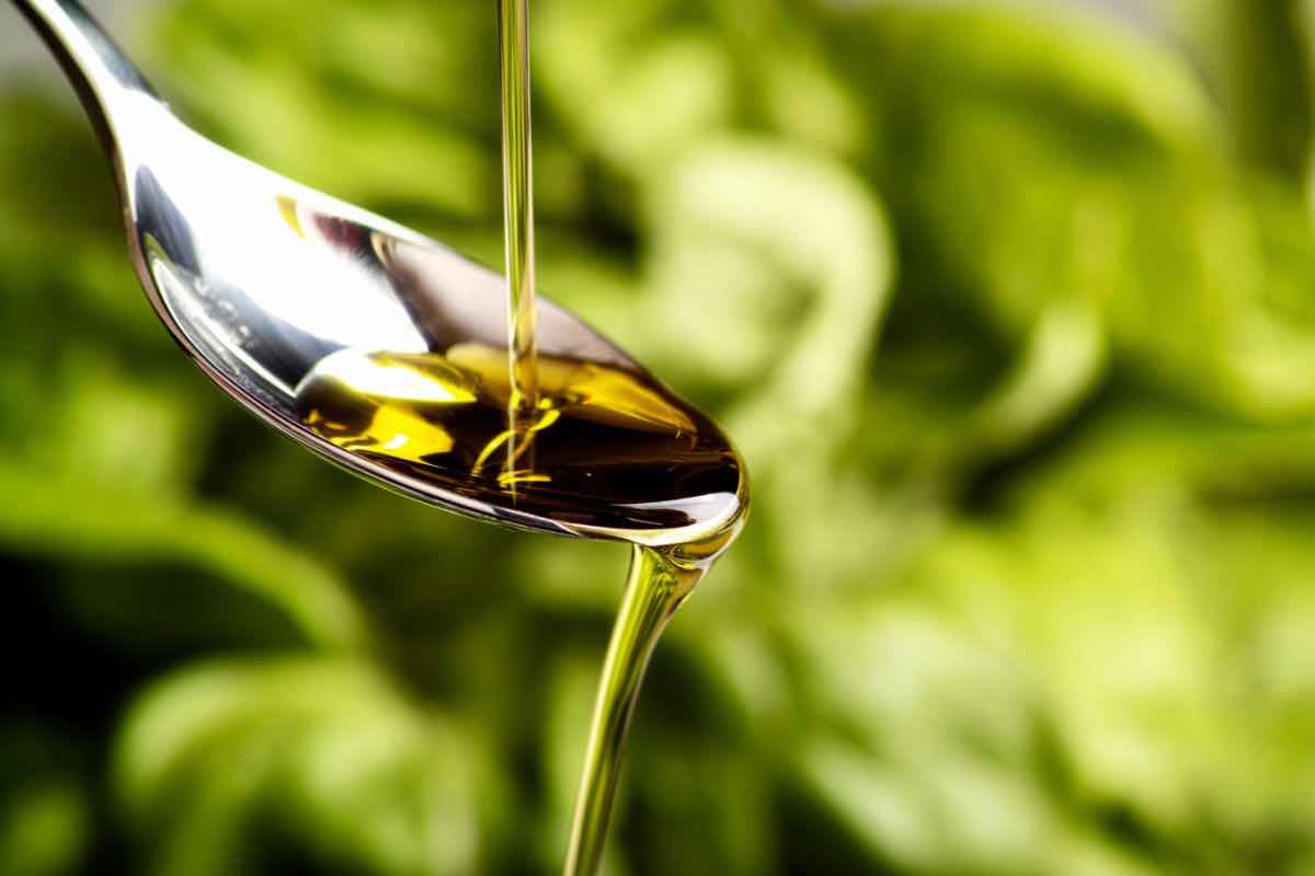 Olio d'oliva contaminato cosa contiene 
