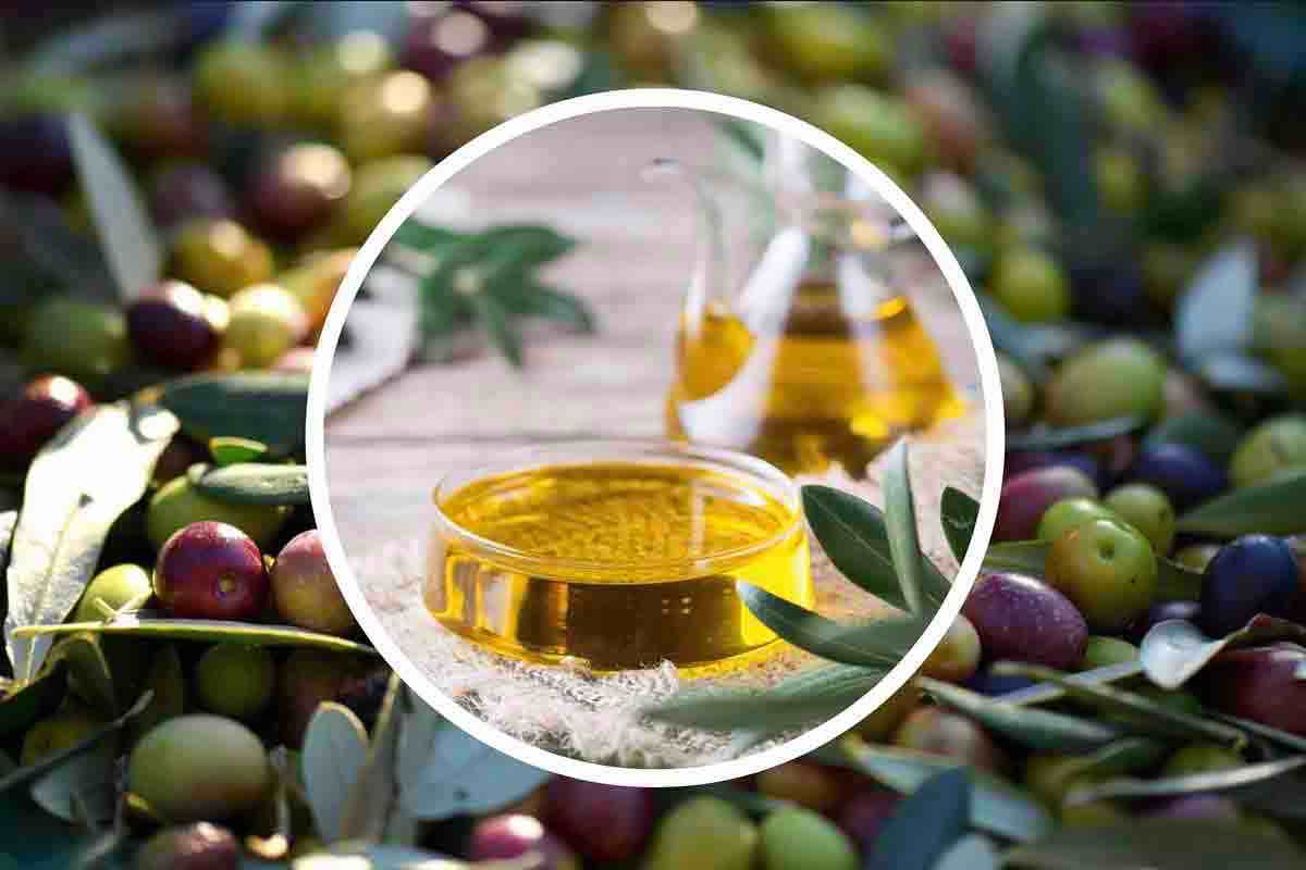Olio extravergine di oliva contaminato